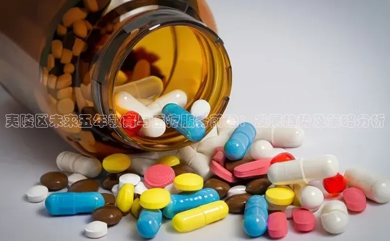 杏盛测速app官方下载最新版